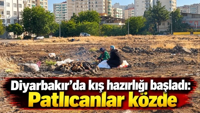 Diyarbakır&rsquo;da kış hazırlığı başladı: Patlıcanlar k&ouml;zde