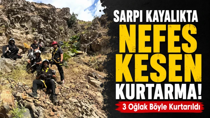 Diyarbakır'da Oğlaklar İ&ccedil;in Seferberlik