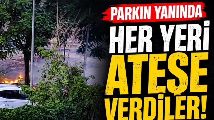 Diyarbakır'da Otluk Alan Ateşe Verildi, Ağa&ccedil;lar Zarar G&ouml;rd&uuml;