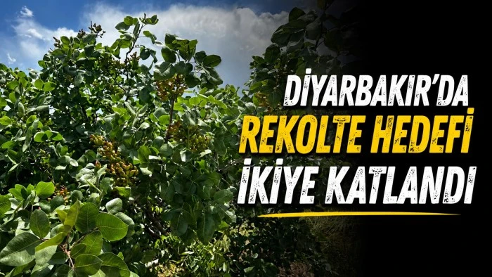 Diyarbakır'da Rekolte Hedefi İkiye Katlandı