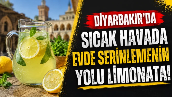 Diyarbakır Sıcağında Evlerin Vazge&ccedil;ilmezi