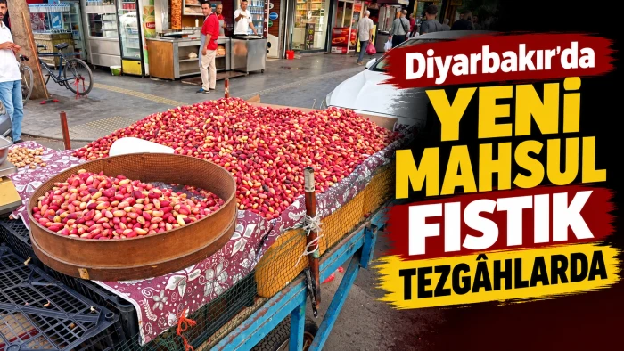 Diyarbakır&rsquo;da yeni mahsul fıstık tezg&acirc;hlarda