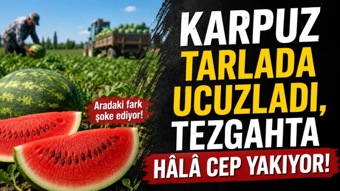 Karpuz Tarlada D&uuml;şt&uuml; Tezgahta Aynı İndirimi Yok