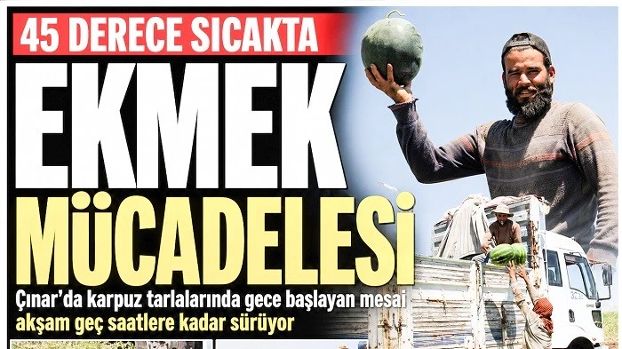 Karpuz Tarlasında Ekmek M&uuml;cadelesi