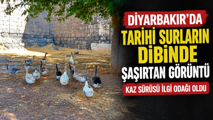 Tarihi surların dibinde şaşırtan g&ouml;r&uuml;nt&uuml;
