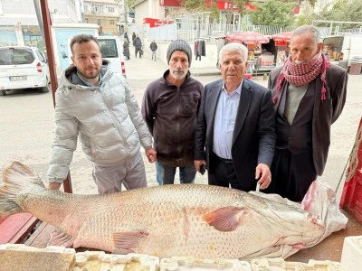 120 kiloluk turna balığı hayrete d&uuml;ş&uuml;rd&uuml;