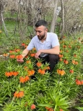 20 günlük ömrü var, zarar vermenin cezası 244 bin lira