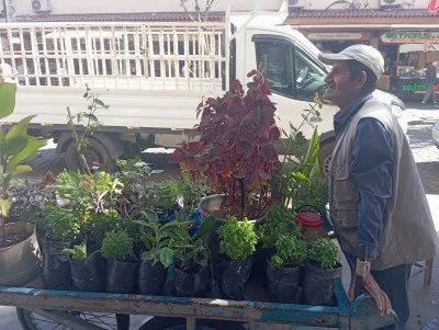 20 Yıldır Sokakları Renk ve Sevgiyle Donatıyor