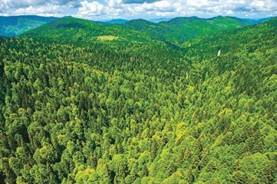 47 ilde giriş yasaklandı