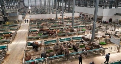 5 yılda 2 milyon kişi ziyaret etti