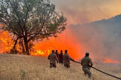 61 orman yangınıyla ilgili gözaltı sayısı artı, 4'ü tutuklandı