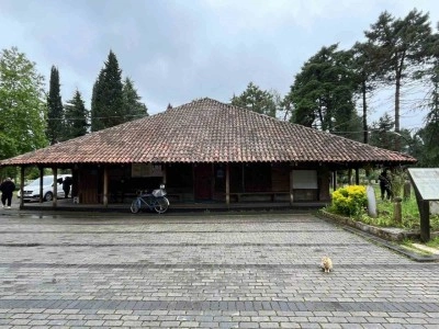 8 asırlık ahşap camide kokarca istilası