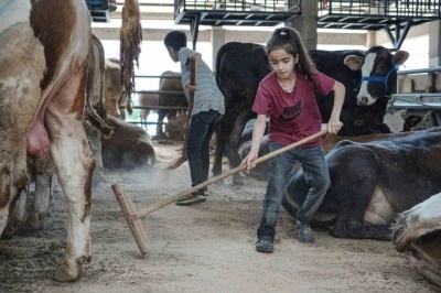 8 yaşındaki Ecrin hayvan pazarının en küçük satıcısı