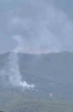 Adana'da orman yangını çıktı