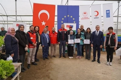 O ilimizde topraksız marul yetiştiriciliği başladı