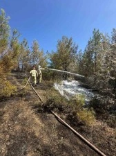 Adana’daki orman yangını kontrol altına alındı