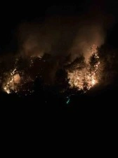 Adana Kozan’da orman yangını büyümeden söndürüldü