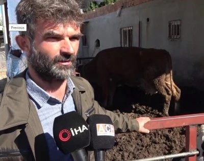 Adıyaman’da 25 Günlük Buzağı Kucaklanarak Çalındı