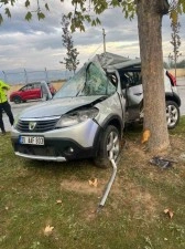Ağaca &ccedil;arpıp ikiye b&ouml;l&uuml;nen otomobildeki kadın hayatını kaybetti