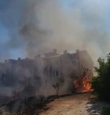 Anız Yangını Ağaçları Kül Etti!