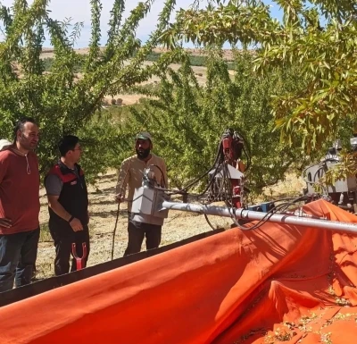 Ağın&rsquo;daki badem &uuml;retim alanlarında inceleme