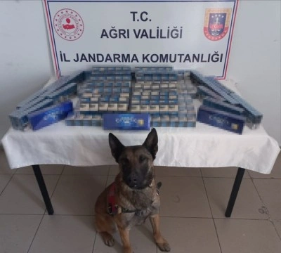 Ağrı’da 6 bin 548 paket kaçak sigara ele geçirildi