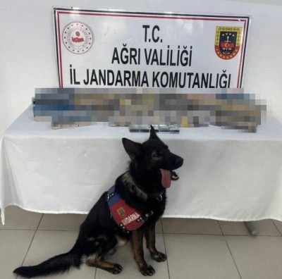 Ağrı’da bin 227 paket gümrük kaçağı sigara ele geçirildi