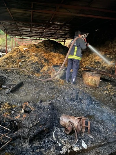 Ahırda yangınında 1 buzağı telef oldu