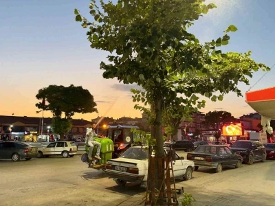 Alaca&rsquo;da haşereye karşı ila&ccedil;lama &ccedil;alışmaları hız kesmeden s&uuml;r&uuml;yor