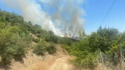 Alevler evlerin bah&ccedil;elerine dayandı: Mahalle tahliye edildi