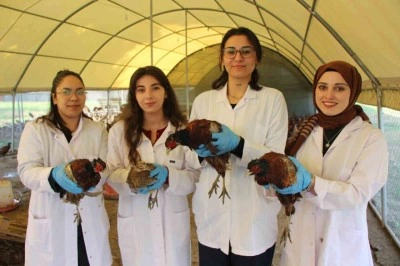 Amasya&rsquo;da &uuml;niversiteliler s&uuml;l&uuml;n yetiştiriyor