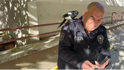 Ankara’da Polis ile Saksağan Arasında Sıra Dışı Dostluk