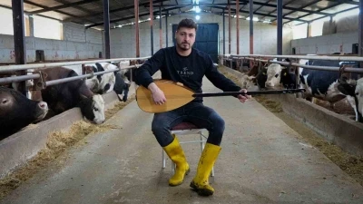 Besiciler kurbanlık hayvanlarına saz &ccedil;alıp t&uuml;rk&uuml; s&ouml;yl&uuml;yor