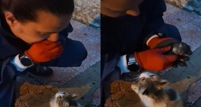 Anne kedinin getirdiği yavruyu, itfaiyecinin kurtarma mücadelesi kamerada
