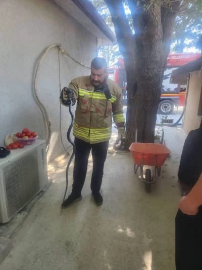 Antakya&rsquo;da eve giren yılan ekipler tarafından yakalandı