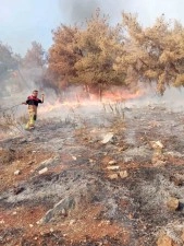 Antakya&rsquo;da orman yangını