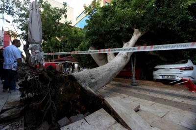 Antalya&rsquo;da faciadan d&ouml;n&uuml;ld&uuml;: Ara&ccedil;ların &uuml;zerine devrilen ağacın altında kalmaktan son anda kurtuldu