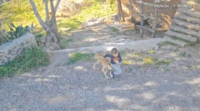 Antalya&rsquo;da sahipsiz k&ouml;peğin saldırısına uğrayan 7 yaşındaki &ccedil;ocuk hastanelik oldu
