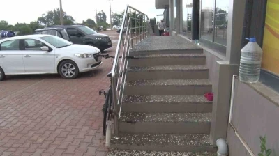 Antalya&rsquo;da yabancı uyruklu şahıs kedinin &uuml;zerine bastı, k&ouml;peği tekmeledi
