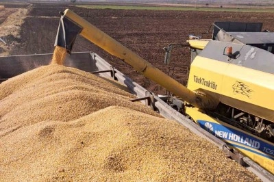 Araban Ovası&rsquo;nda mısır hasadına başlandı