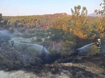 Araç yangınıyla başlayan orman yangını söndürüldü