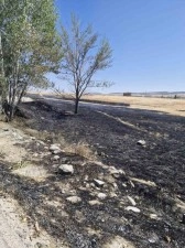 Arazide çıkan yangına çiftçi ve itfaiye ekipleri müdahale etti