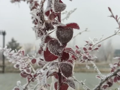Ardahan’da Dondurucu Soğuklar Geri Döndü: Göle’de Sıcaklık Eksi 13 Dereceye Düştü