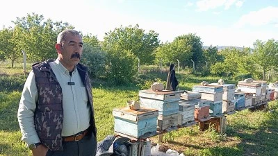 Arı yetiştiricisinden &uuml;retim &ccedil;ağrısı