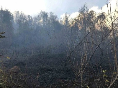 Hopa’da ziraat alanında çıkan yangın ormana sıçradı