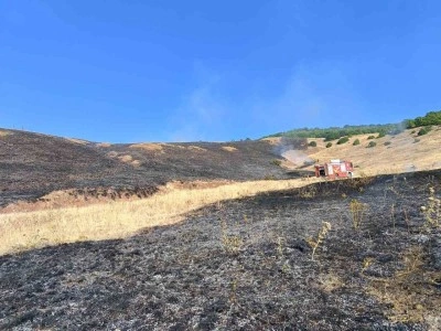 100 dönüm alan kül oldu