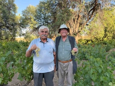 Ata tohumundan yetişen üzümleri lezzetiyle dikkat çekiyor