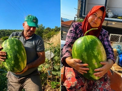 550 rakımda karpuz ve balkabağı yetiştiriyorlar