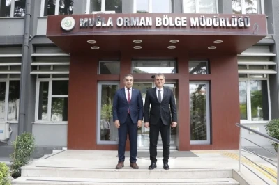 Kestane ağa&ccedil;ları biyolojik m&uuml;cadele ile korunuyor