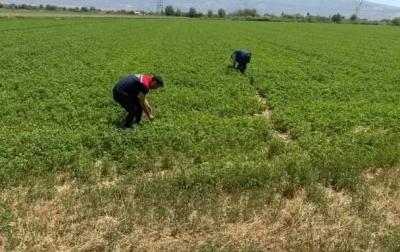 Kuraklıkla m&uuml;cadele &ccedil;alışmaları s&uuml;r&uuml;yor